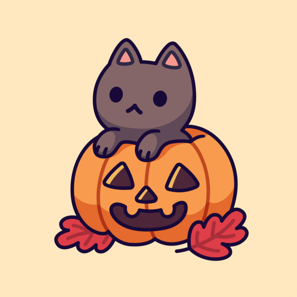 Cute Black Cat In Halloween Pumpkin Stock Illustration - Download Image Now  - Pumpkin, Kawaii, Domestic Cat - iStock