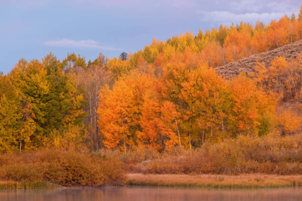 istock Scenic Autumn Landscape in the Tetons 1180801126