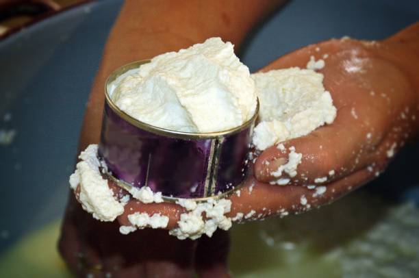 istock Molding the fresh goat cheese. 1180801302