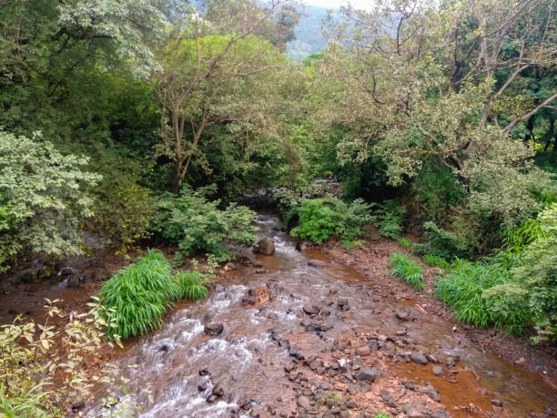 istock A water stream in monsoon at a village in India 1180802505