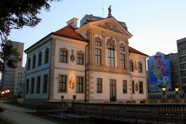 オストログスキ宮殿またはオストログスキ城(17世紀)は、現在、フリデリックショパン協会とフリデリックショパン博物館、ワルシャワ、ポーランドを収容しています - fryderyk ストックフォトと画像