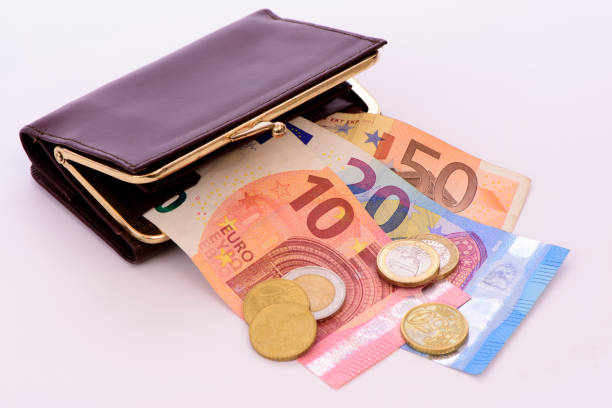 purse with Euro banknotes