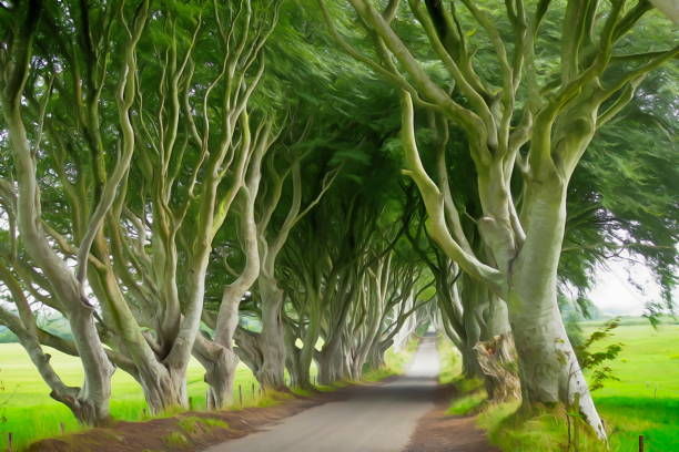 istock The dark edges, famous beech trees alley 1180804624