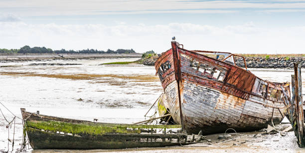 istock The Noirmoutier boats cemetery. 1180804784