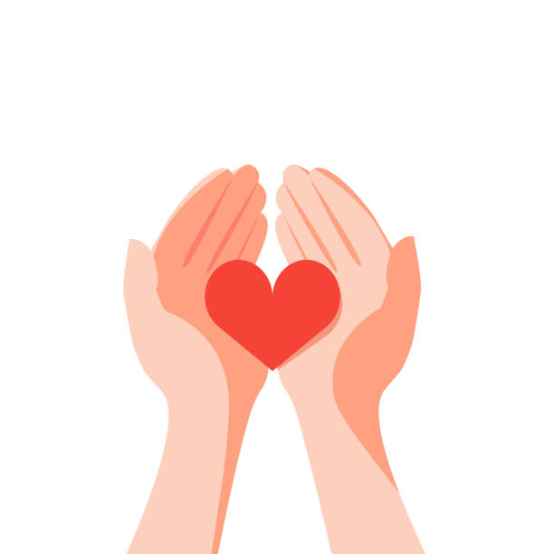 Red heart in the hands vector art illustration