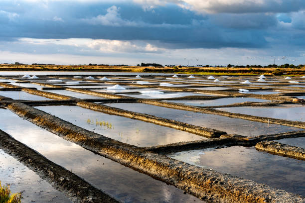 Salt marshes on the island of Noirmoutier in France. The sun rises on ponds, basins and 
salt piles of the salt marsh loire atlantique photos stock pictures, royalty-free photos & images