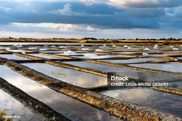 Salt Marshes On The Island Of Noirmoutier In France Stock Photo - Download Image Now