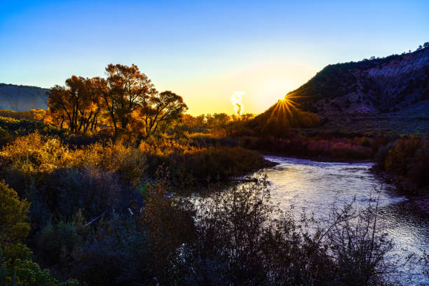 istock Cottonwood Trees in Autumn at Sunset Landscape 1180808955