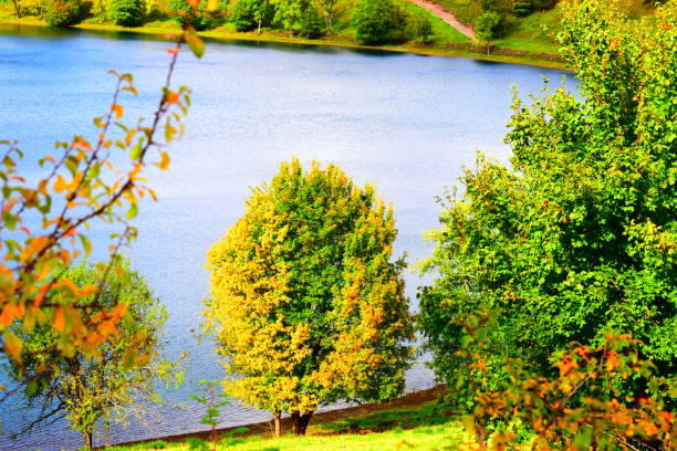 istock autumn at Weinfelder Maar 1180810532