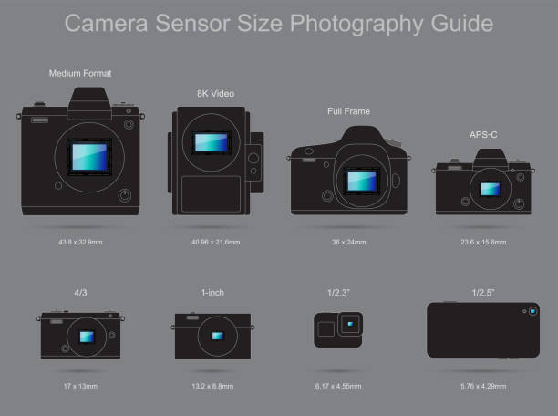 przewodnik fotograficzny o rozmiarze czujnika aparatu - sensor ccd electronics industry cmos stock illustrations