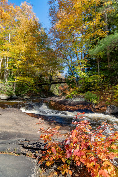 colores de otoño en stubb's falls of arrowhead provincial park, huntsville, ontario, canadá. - arrowhead fotografías e imágenes de stock