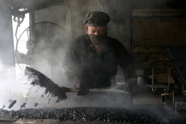 A male worker is using shovel to scoop sticky hot double roasted coffee bean onto industrial flat pan for air drying process.