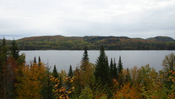 istock Saint-Maurice River in autumn (photo15) 1180819160