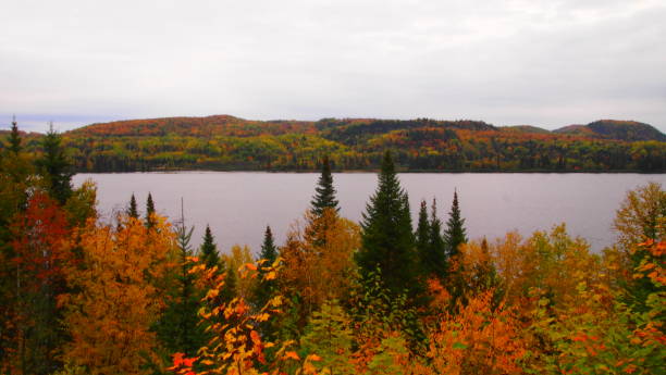 istock Saint-Maurice River in autumn (photo18) 1180819172