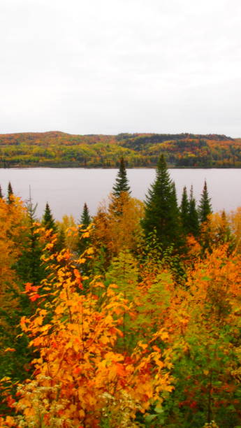 istock Saint-Maurice River in autumn (photo17) 1180819177
