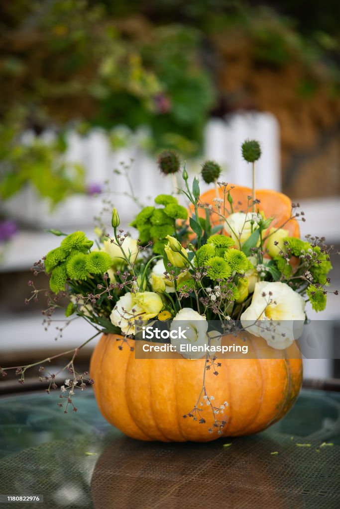 Colorful autumn bouquet in pumpkin. Autumn bouquet in orange pumpkin. Pumpkin Stock Photo