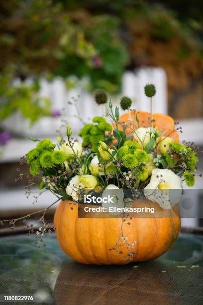 Colorful Autumn Bouquet In Pumpkin Stock Photo - Download Image Now - Pumpkin, Flower Pot, Wedding
