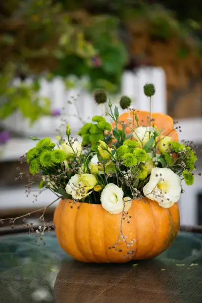 Photo of Colorful autumn bouquet in pumpkin.