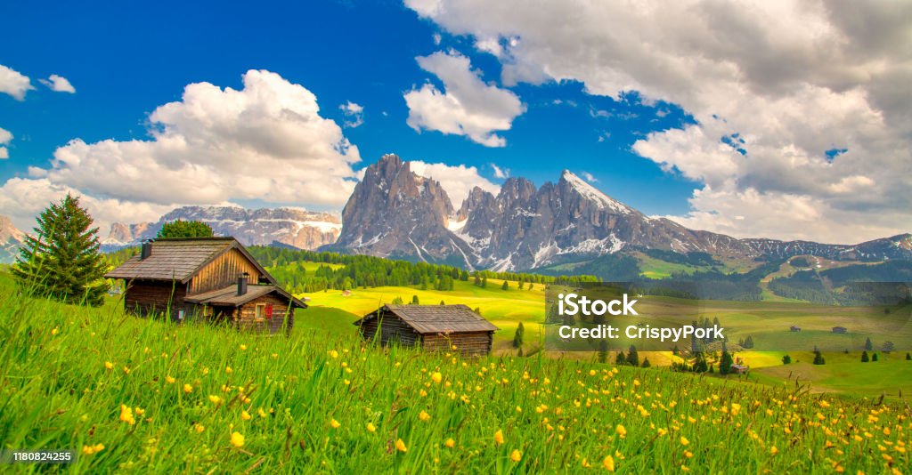 Alpe di Siusi - Seiser Alm with Sassolungo - Langkofel mountain group in background at sunset. Yellow spring flowers and wooden chalets in Dolomites, Trentino Alto Adige, South Tyrol, Italy, Europe Mountain Stock Photo
