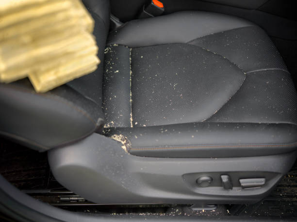 Sawdust on a leather car seat stock photo