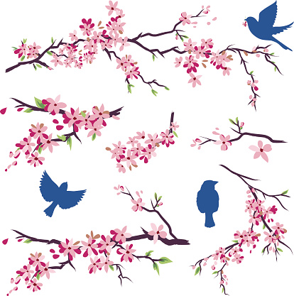 Blue Birds in Different Poses & Cherry Blossoms Branch Set