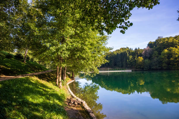 istock Beautiful turquoise lake surrounded by green forest and mountains 1180825297