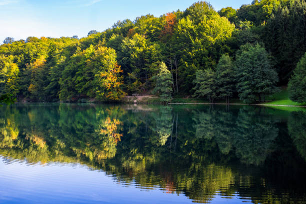 istock Beautiful turquoise lake surrounded by green forest and mountains 1180825490