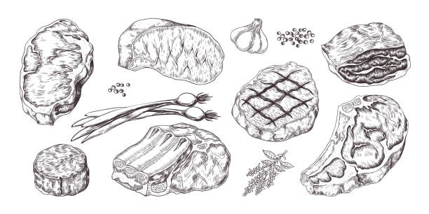 Steak. Vintage sketch with beef and pork chops ribs and fillet, butchery food products with garlic and pepper. Vector fillet set Steak. Vintage sketch with beef and pork chops ribs and fillet, butchery food products with garlic and pepper. Vector illustrations hand drawn fillet meat set with onion, garlic, pepper hand drawn pork chop stock illustrations