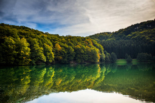 istock Beautiful turquoise lake surrounded by green forest and mountains 1180827122