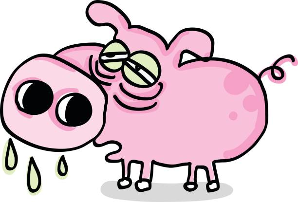 ilustrações, clipart, desenhos animados e ícones de gripe suína ilustração dos desenhos feitos à mão - pig swine flu flu virus cold and flu