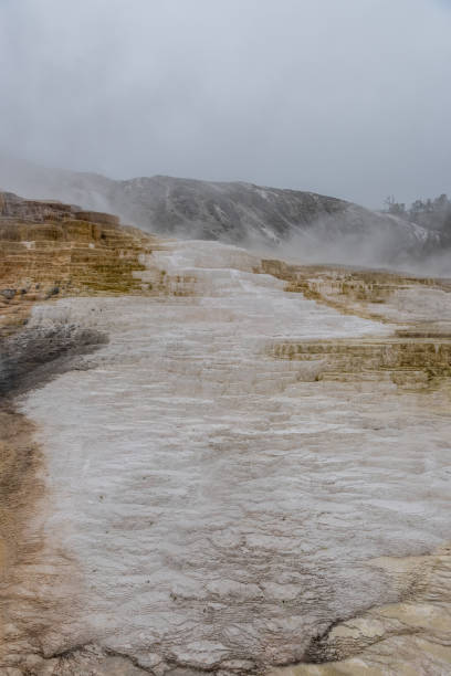 istock White Residue from Mammoth Hot Springs 1180829658