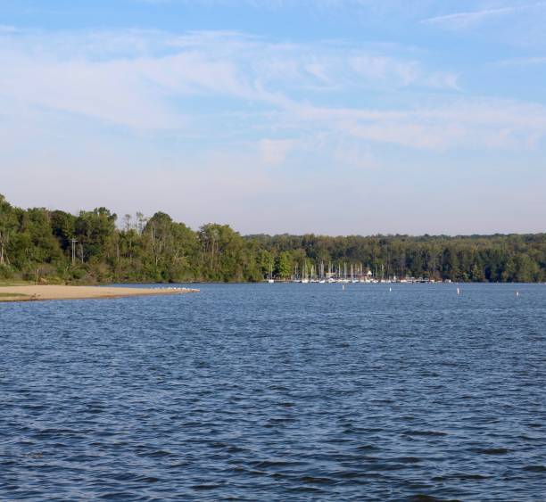 istock Lake on a Summer Day 1180830857