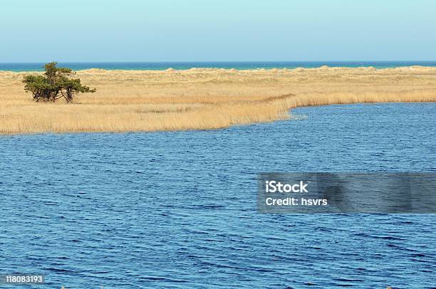 Darsser Ort Stock Photo - Download Image Now - Baltic Sea, Beach, Color Image