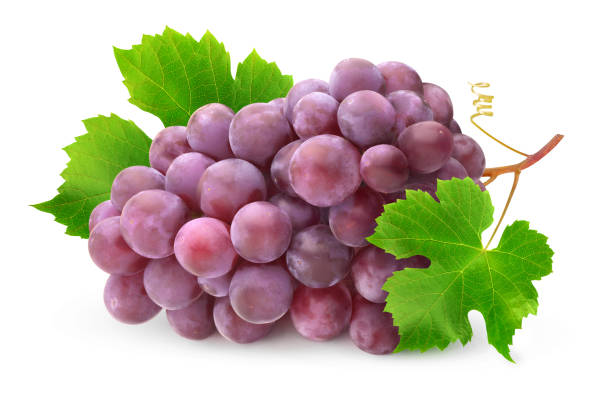 istock Isolated bunch of red grapes 1180832605