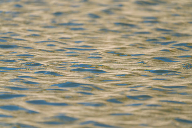 Full frame of wavy river reflecting sunlight.