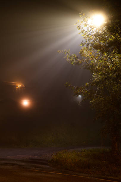 istock Street light in fog. 1180834083