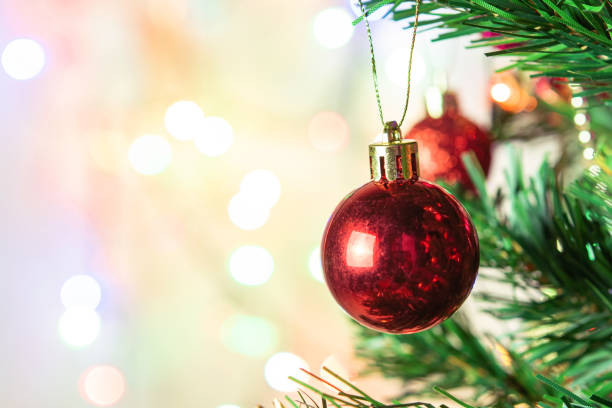 decoração do natal. esferas vermelhas de suspensão em filiais do pinho festão e ornamento da árvore de natal sobre o fundo abstrato do bokeh com espaço da cópia - christmas tree bead humor - fotografias e filmes do acervo