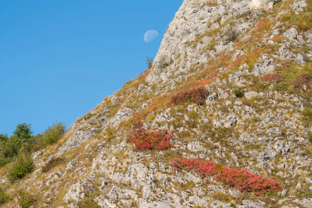 istock Rocky hill with autumn plants against blue sky 1180834269
