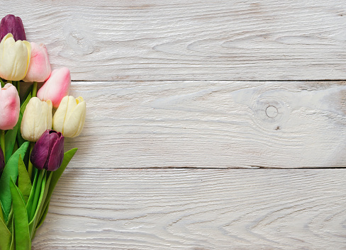 Imágenes de Flor De Madera | Descarga imágenes gratuitas en Unsplash Imágenes de Flor De Madera | Descarga imágenes gratuitas en Unsplash