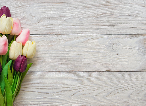 Beautiful Tulip Flowers On A White Wooden Textured Background Spring  Bouquet Flat Lay Top View Copy Space Stock Photo - Download Image Now -  iStock