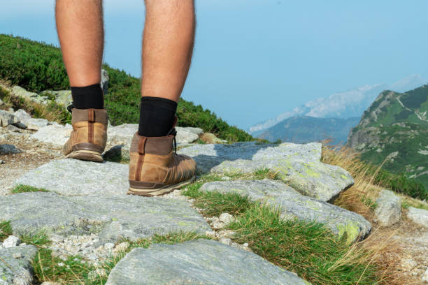 istock tourist legs on the mountain 1180836713
