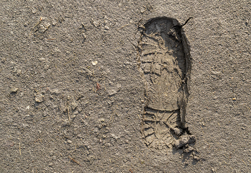 large footprint of a male boot in the mud, close-up, top view