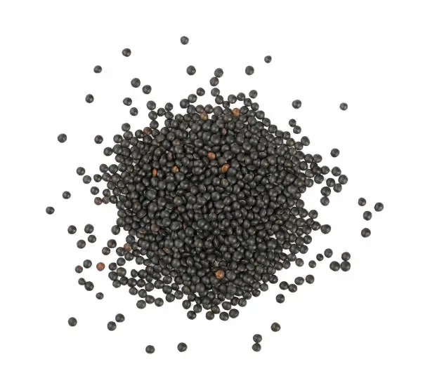 Photo of Heap of black Beluga lentil isolated on white