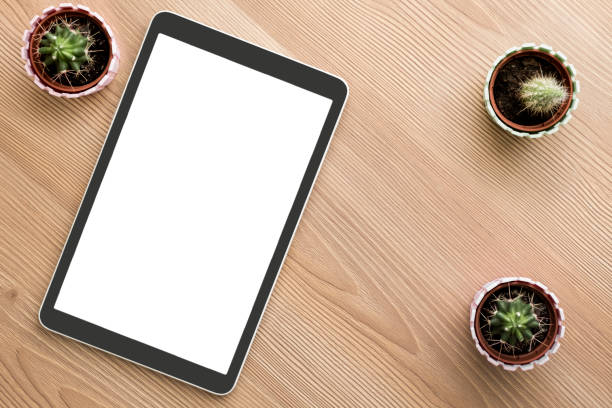 istock Digital Tablet with Cactus Plant on Table, top view 1180837929