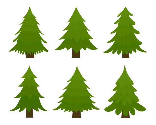 Vector illustration of Set of spruces. Fir trees isolated on white background.