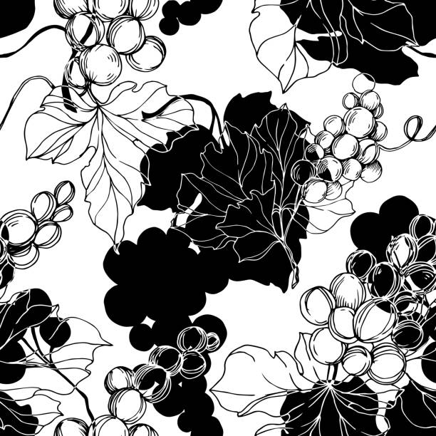 illustrations, cliparts, dessins animés et icônes de vector grape baies aliments sains. art d'encre gravé noir et blanc. modèle de fond sans couture. - grape nature design berry fruit