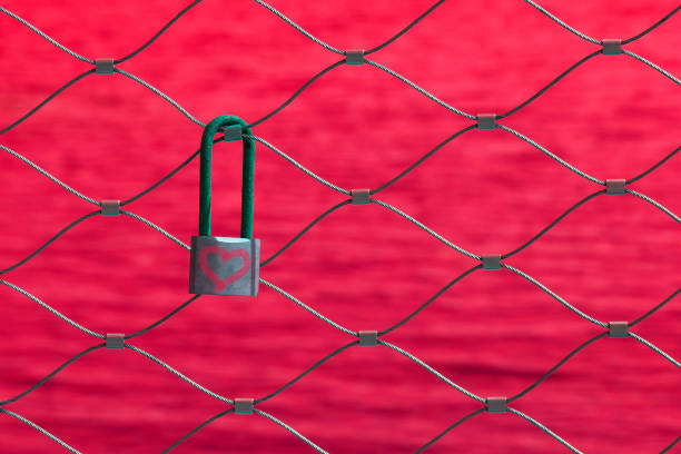 istock Love padlock on metal fence 1180844234