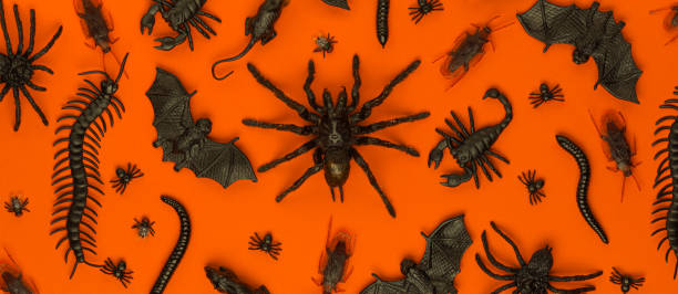 istock Black Halloween creepy crawly bugs and spiders on orange background 1180848484