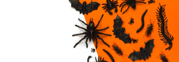 istock Black Halloween creepy crawly bugs and spiders on orange background with blank white space for text or image 1180848492