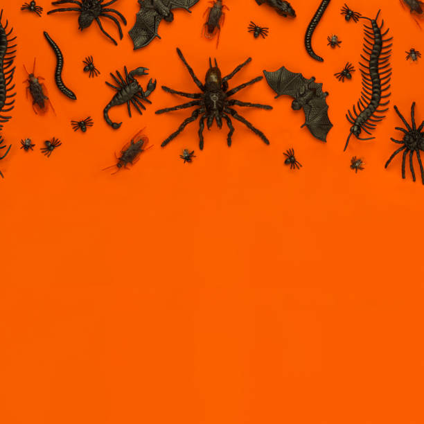 istock Black Halloween creepy crawly bugs and spiders on orange background with blank space for text 1180848503